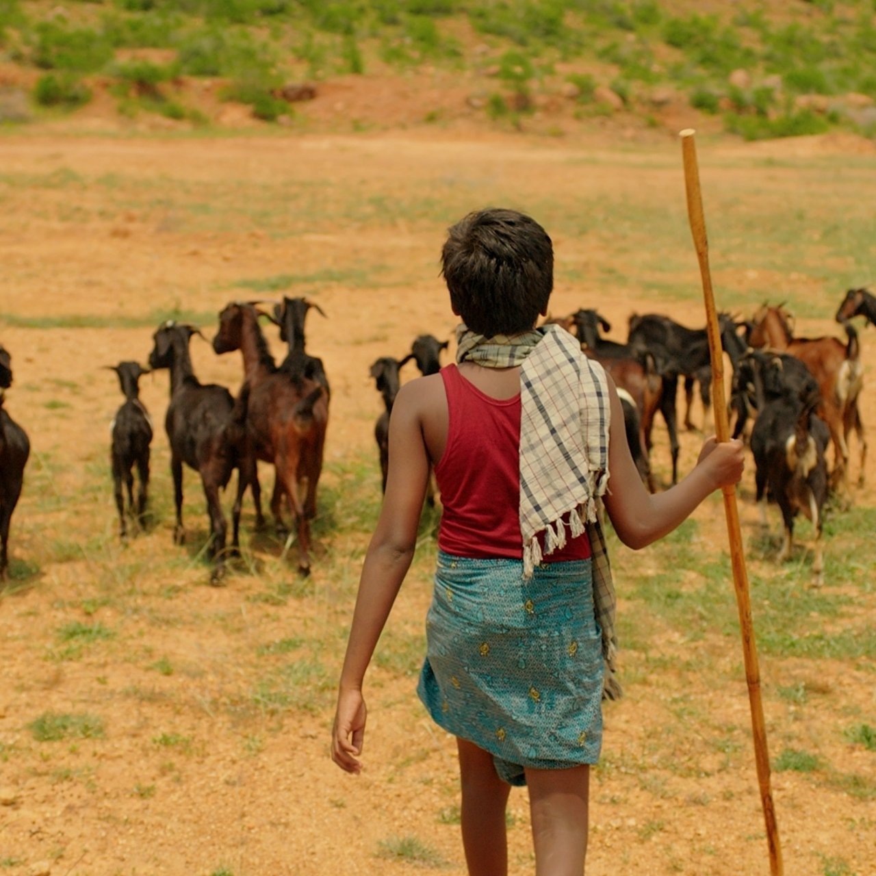 Surya Film Photo 3
