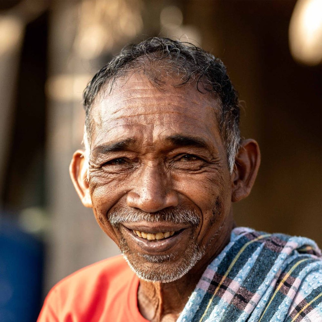 Appa rao portrait 2