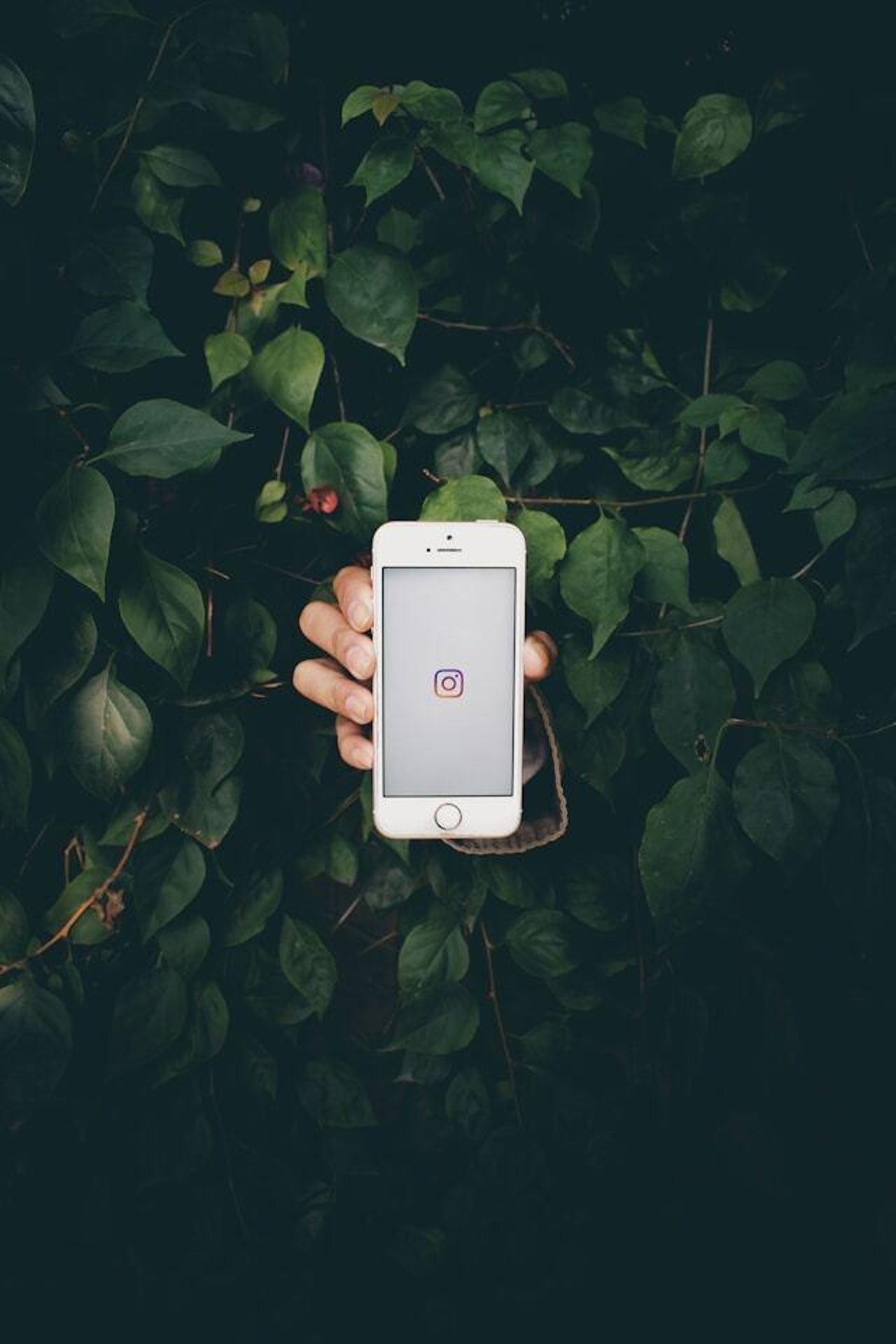 Pramod tiwari q K6p3 Pc OBGQ unsplash