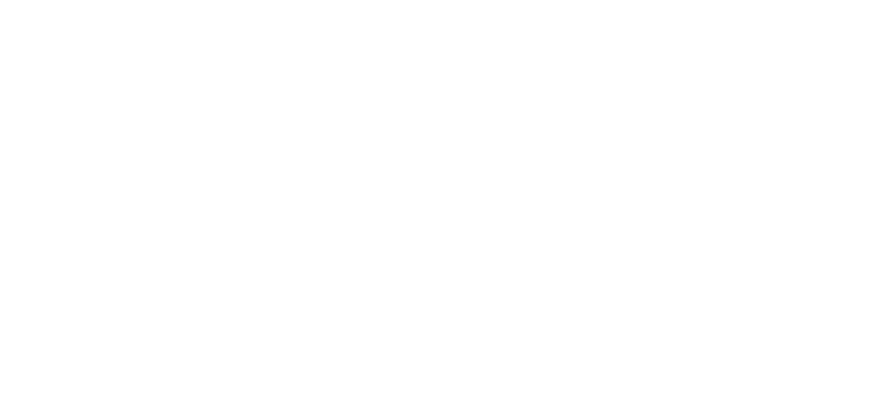 Freiheit Feiern Schriftzug weiss v1