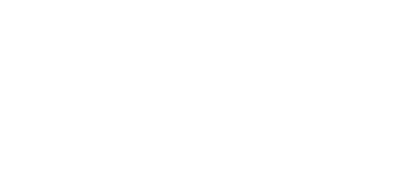 IJM Team Freiheit weiss RGB