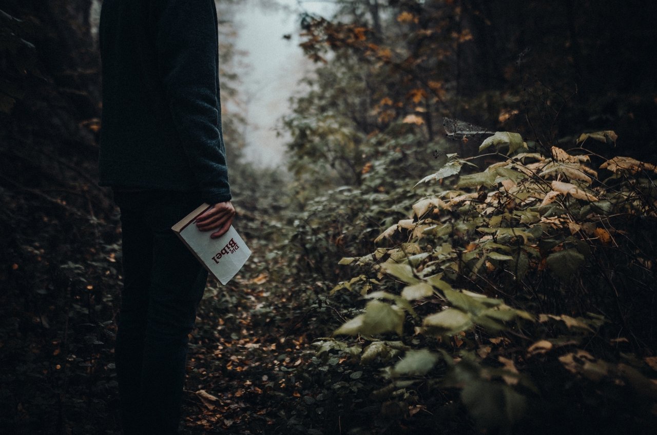 Jannis edelmann lsx1 Mqebbb Y unsplash