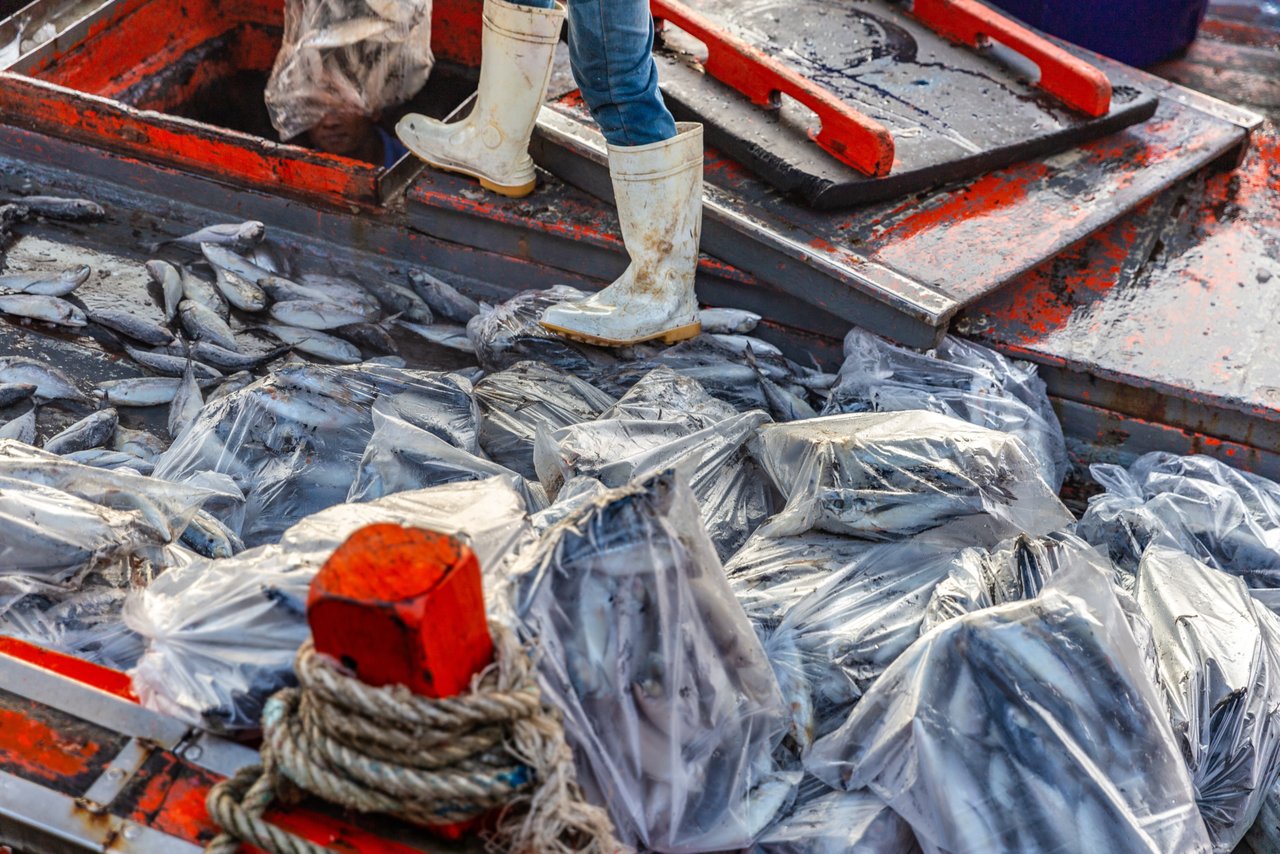 MG 9354 201811 BAN Stock Photos Thai Fishing Boats in Songkhla Approved for Full Use
