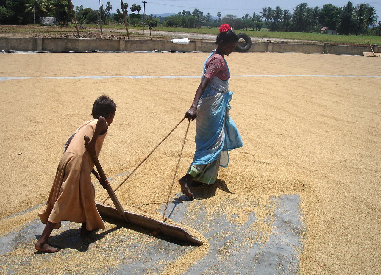 200705 INC Shakthivel Rice Mill 0003 C tif 2007 05 Shakthivel Rice Mill Approved for Full Use 2020 12 18 105847