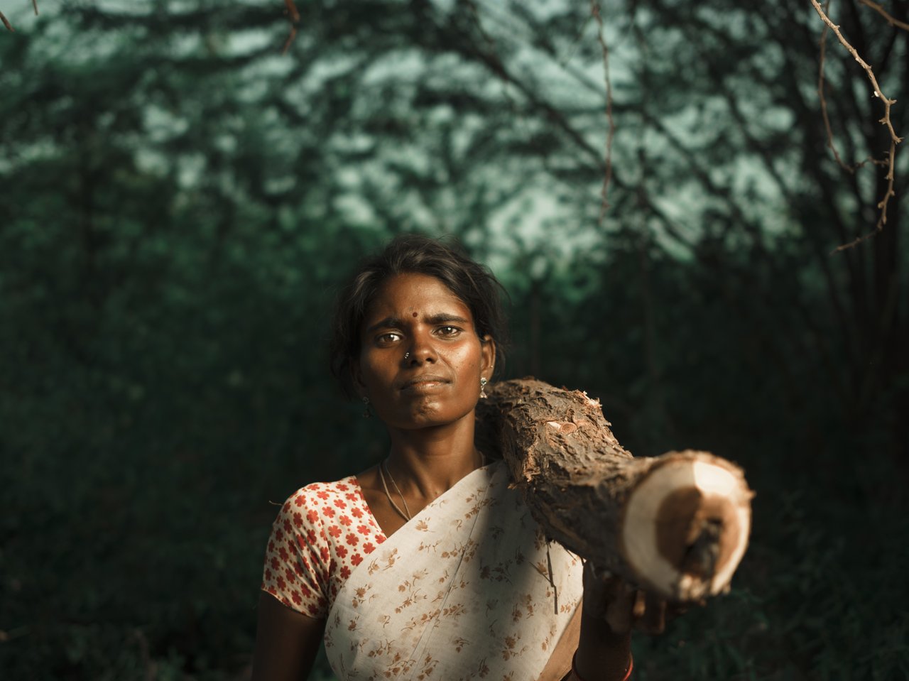 Slavery India Wood Cutting Approved for Full Use IJM Deutschland